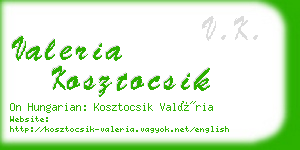 valeria kosztocsik business card